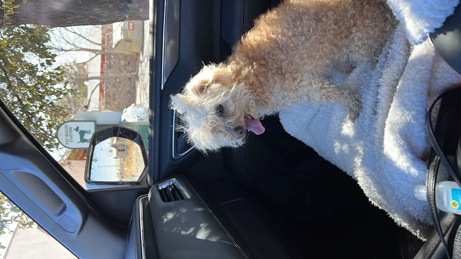 Lost dog in Albuquerque, NM, 87102