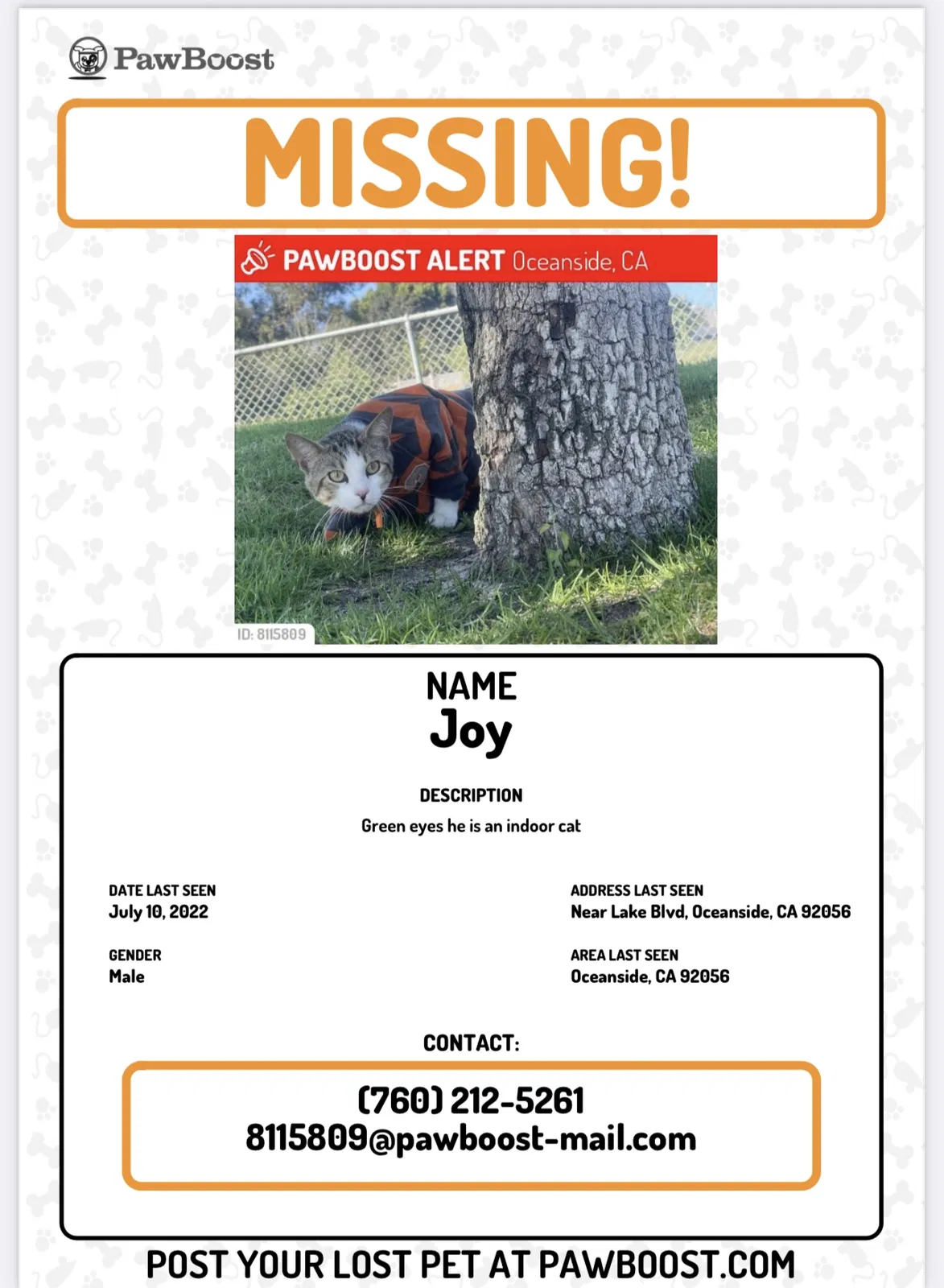 Lost cat in Oceanside, CA, 92056