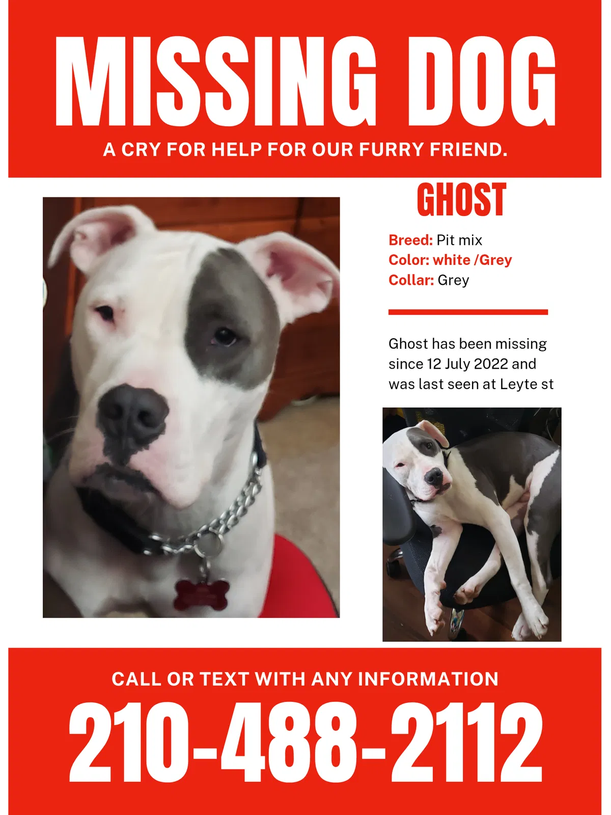 Lost dog in San Antonio, TX, 78217