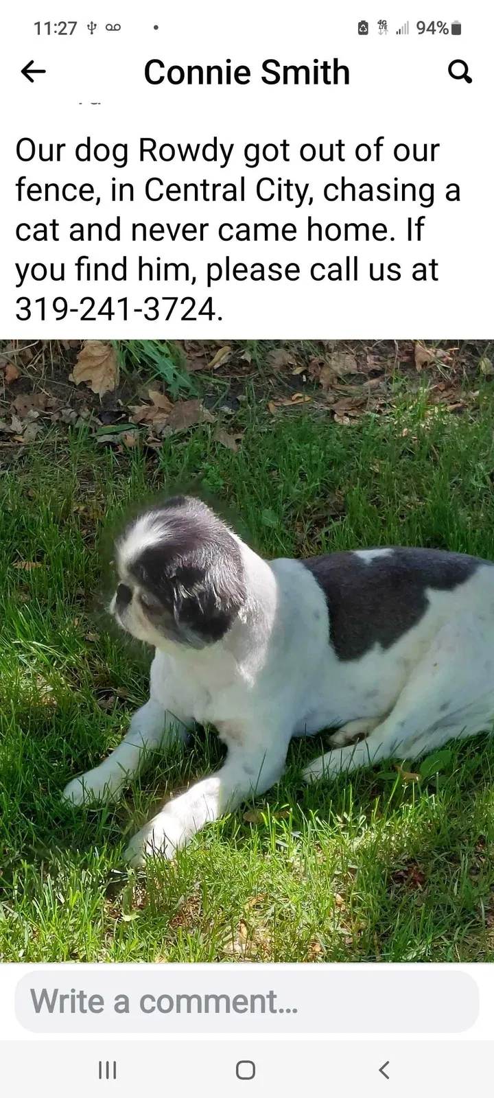 Lost dog in Central City, IA, 52214