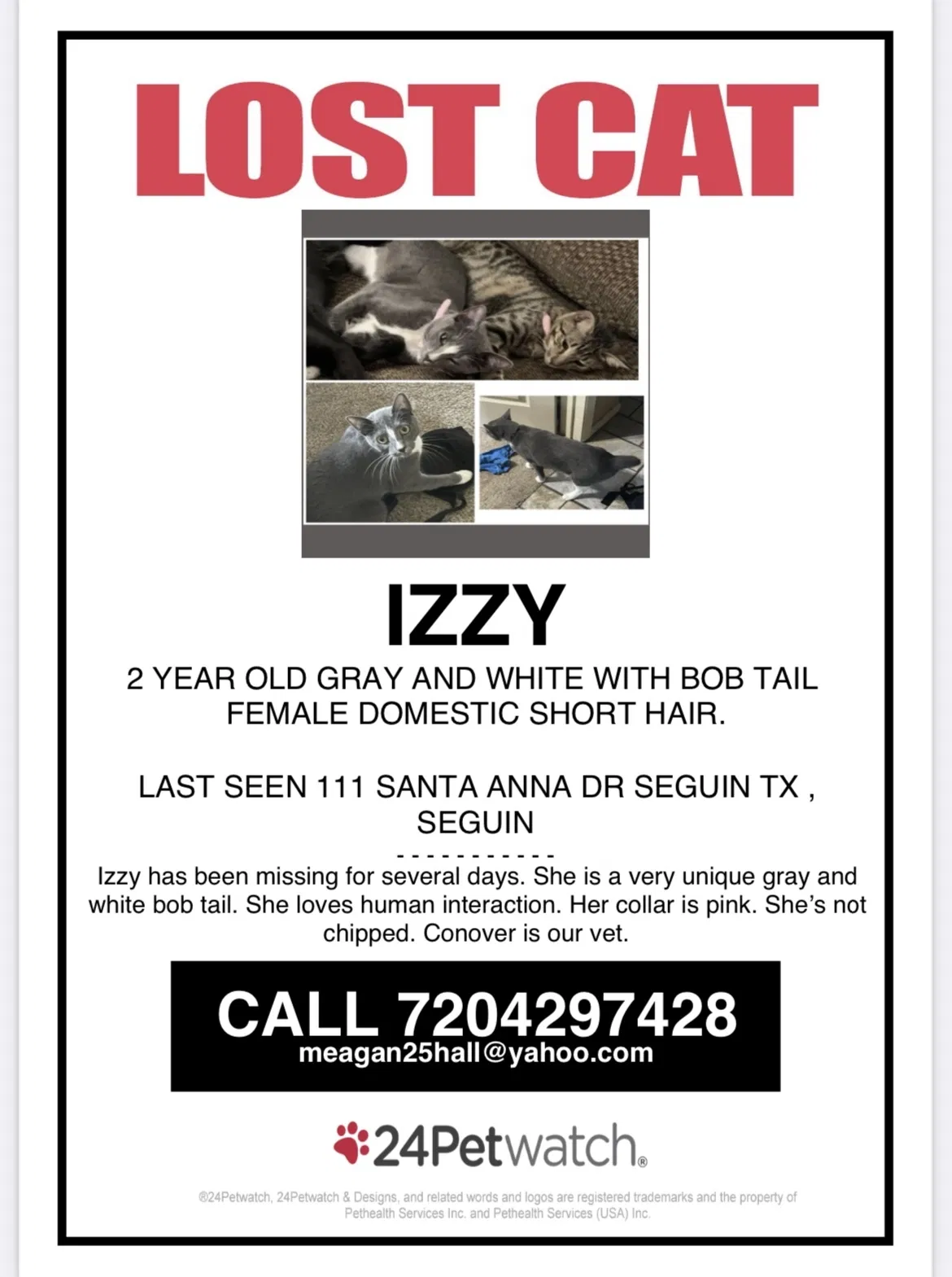 Lost cat in Seguin, TX, 78155
