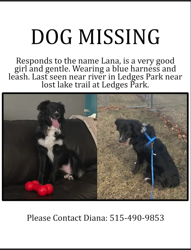 Lost dog in Madrid, IA, 50156