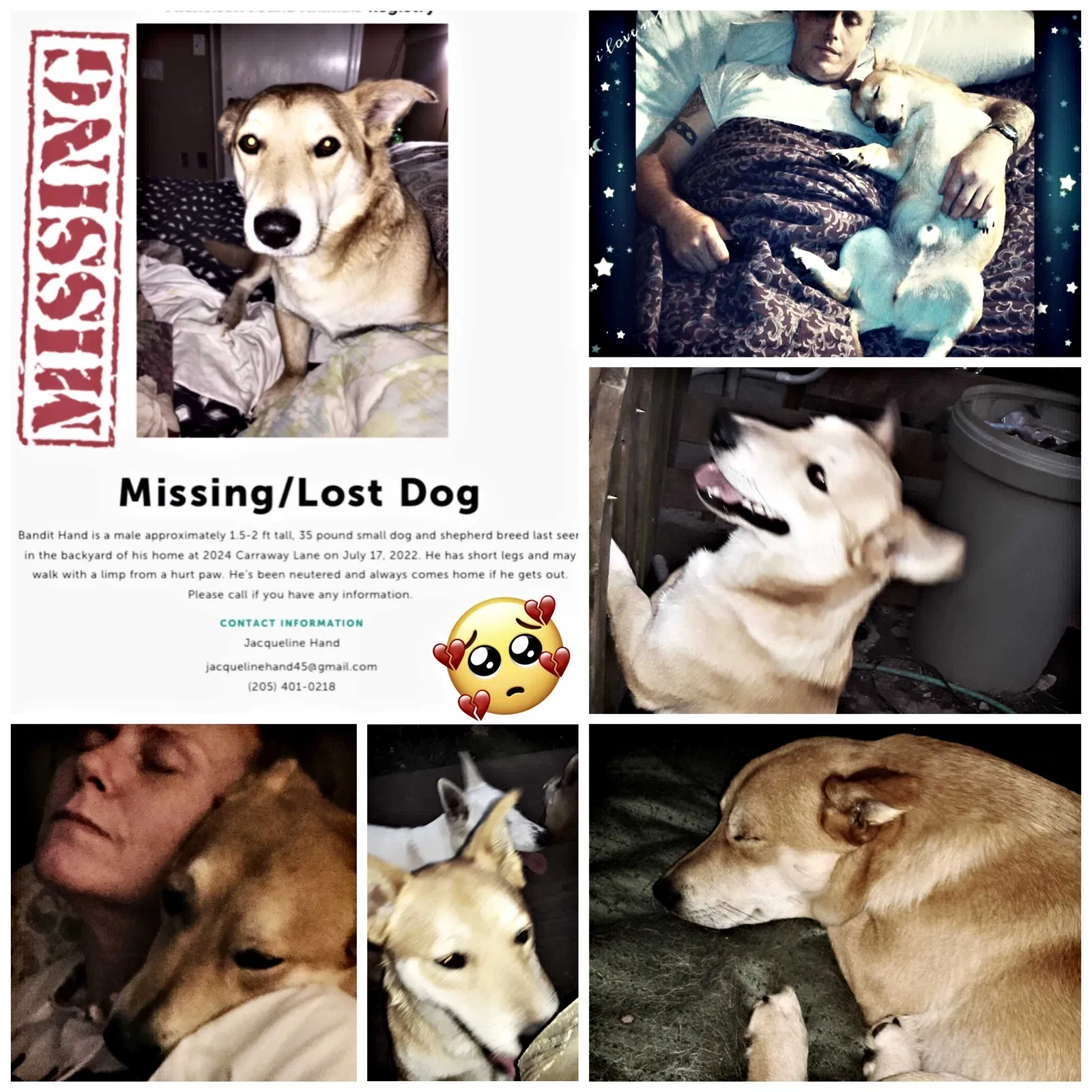 Lost dog in Birmingham, AL, 35235