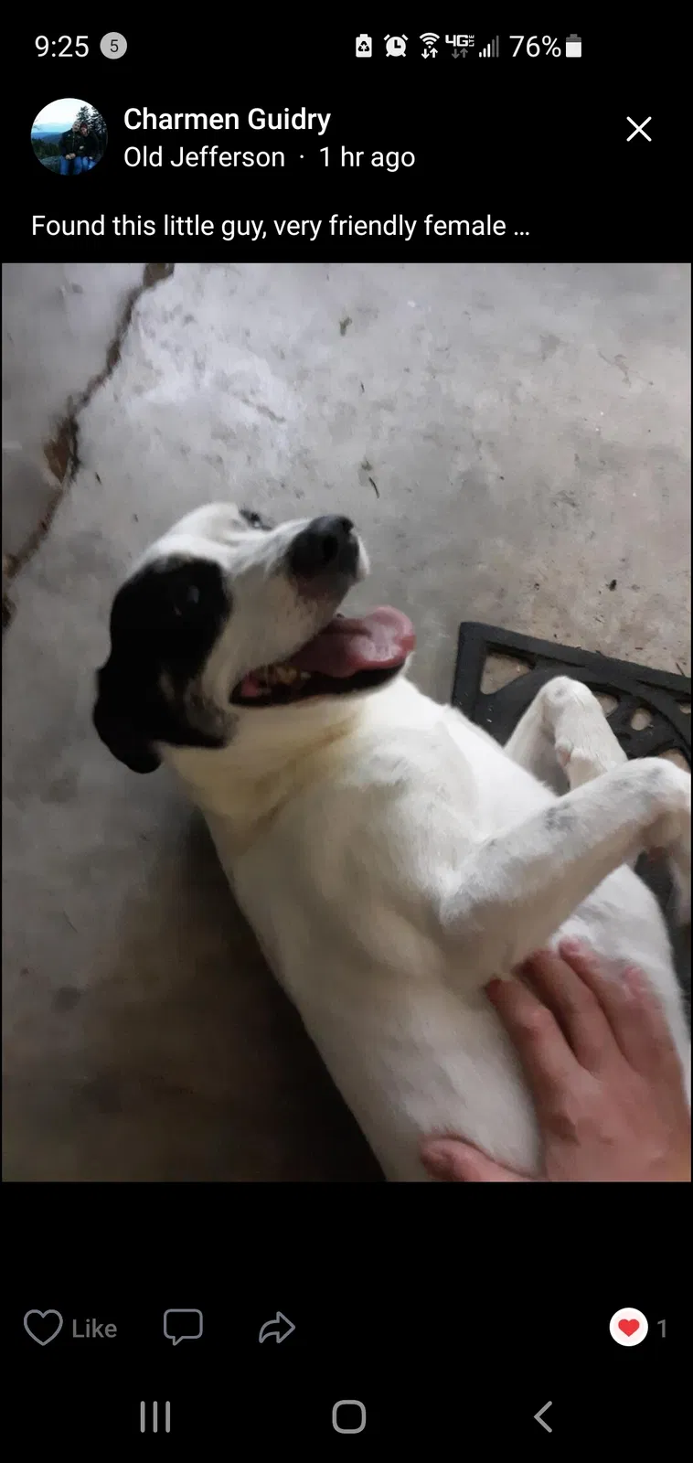 Lost dog in Baton Rouge, LA, 70817