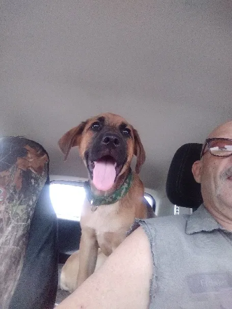 Lost dog in Clinton, IN, 47842