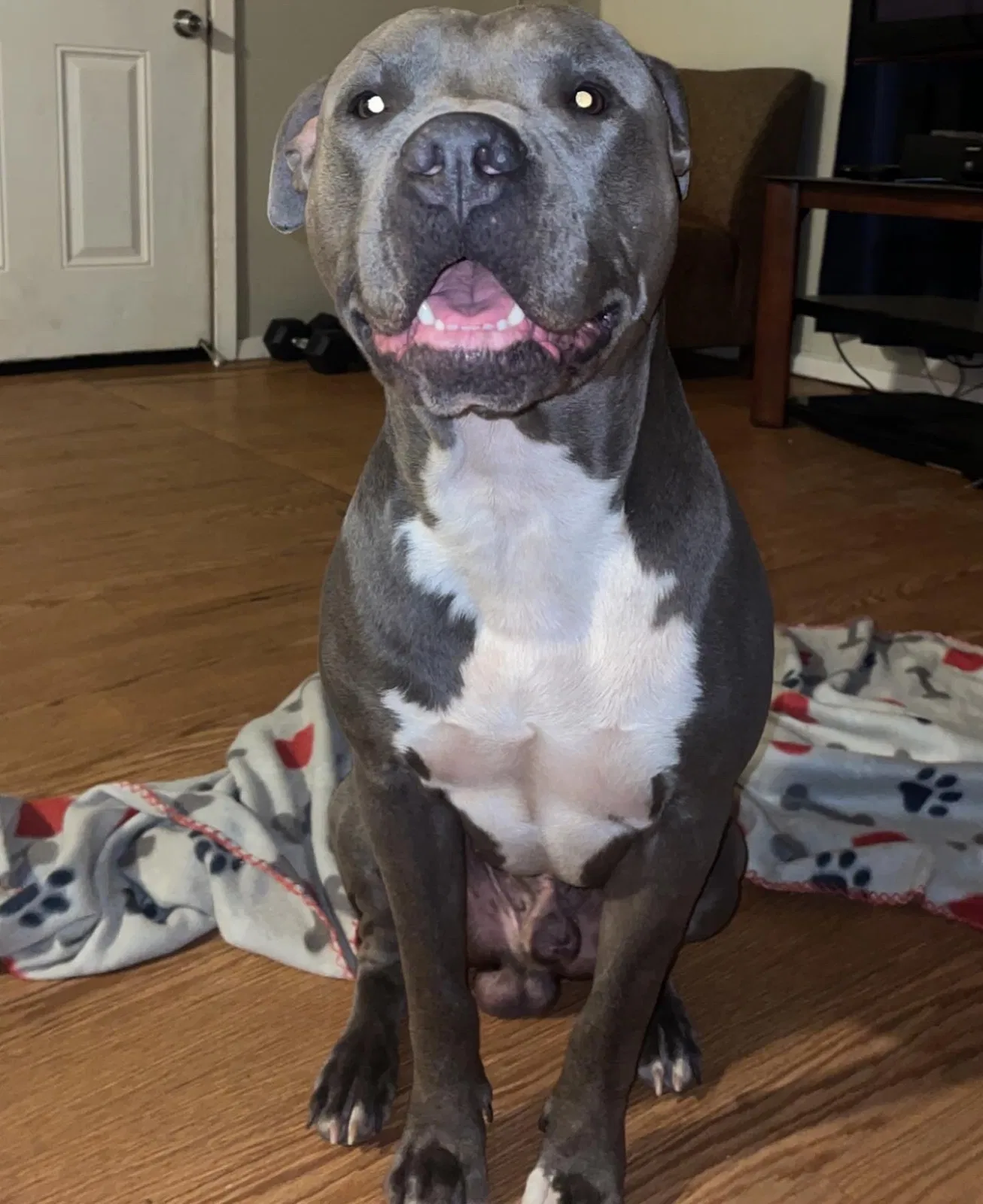 Lost dog in Fort Worth, TX, 76106