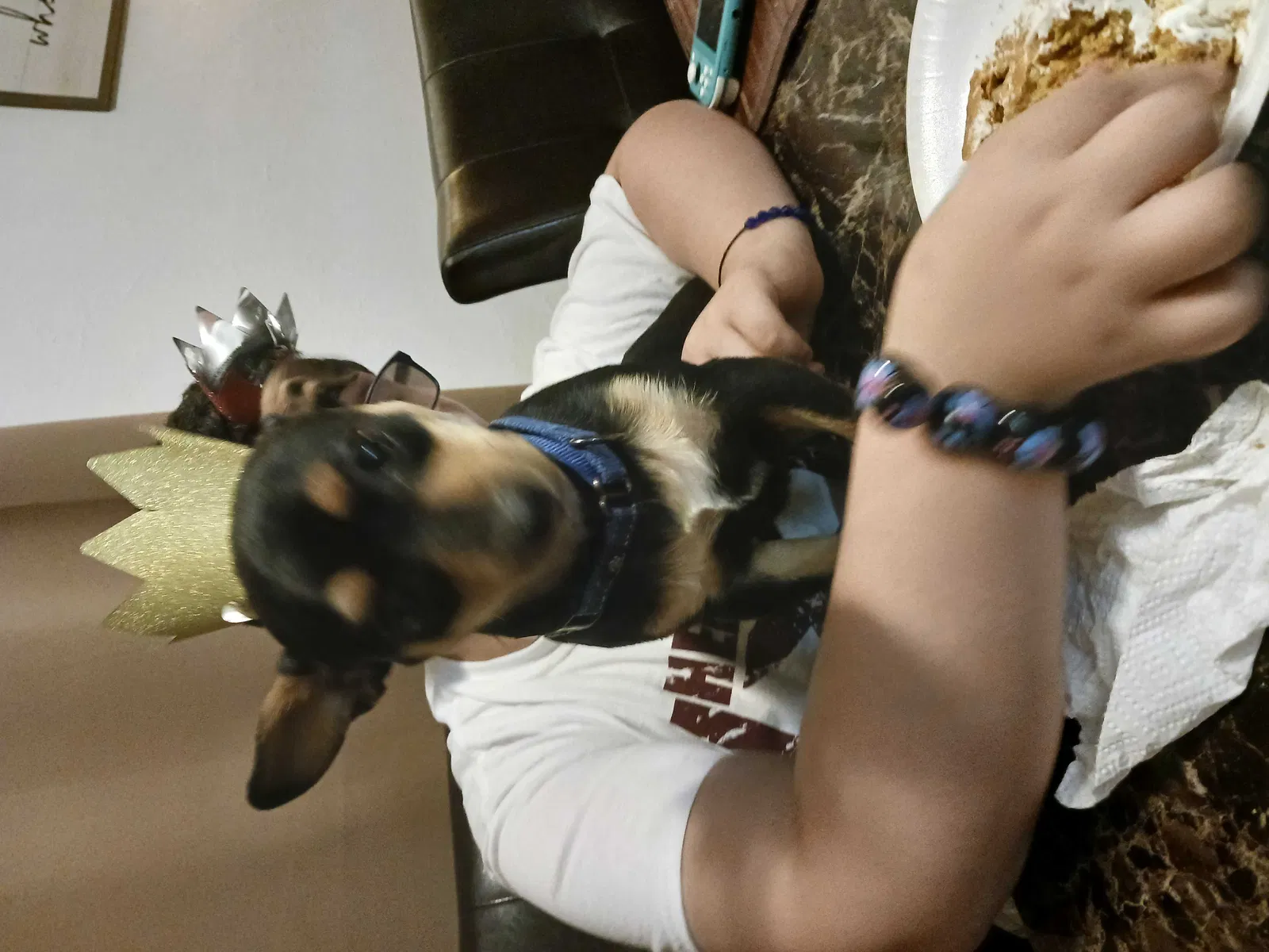 Lost dog in Pueblo, CO, 81005