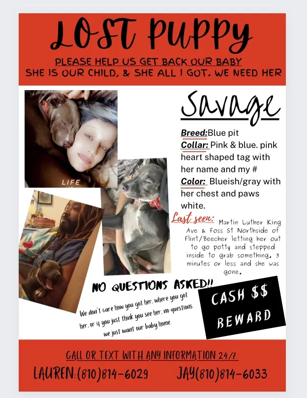 Lost dog in Flint, MI, 48505