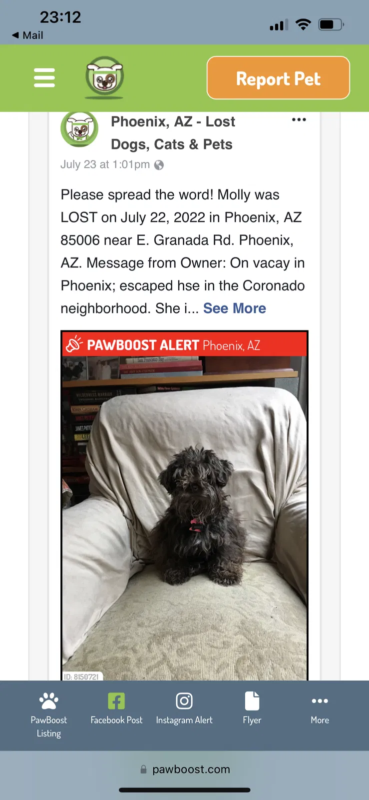 Lost dog in Phoenix, AZ, 85006