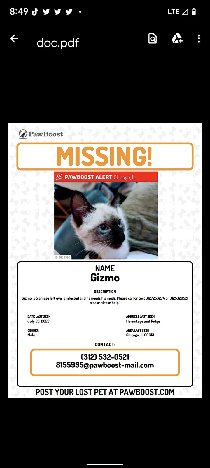 Lost cat in Chicago, IL, 60660