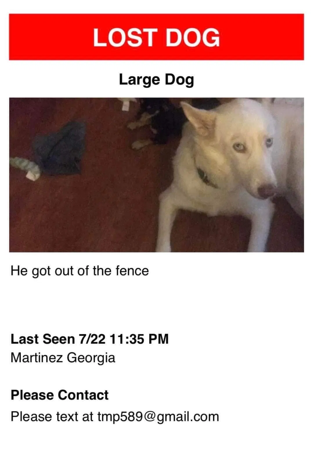 Lost dog in Augusta, GA, 30907