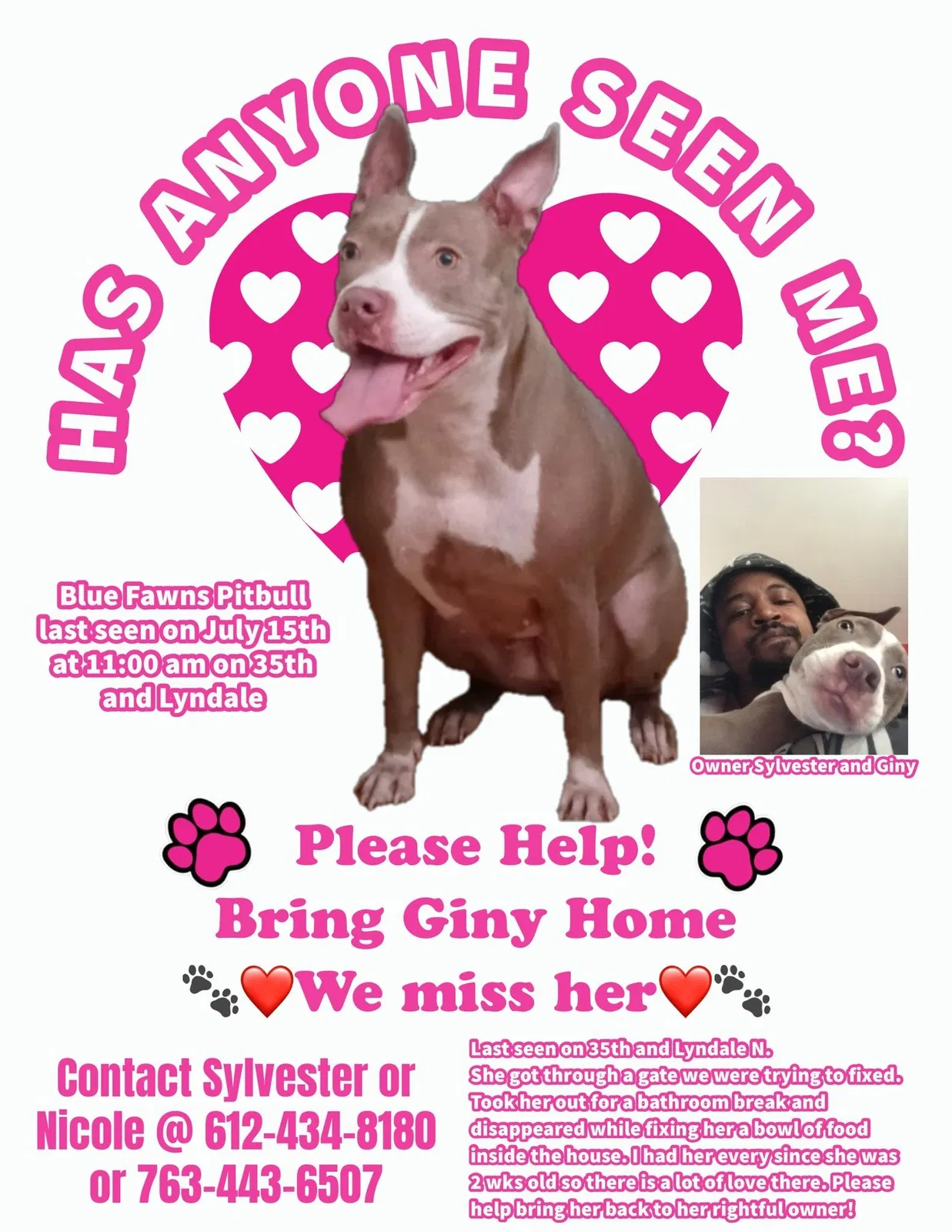 Lost dog in Minneapolis, MN, 55412