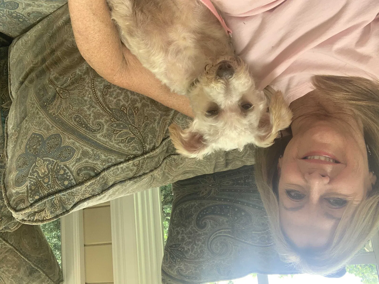 Lost dog in Atlanta, GA, 30342