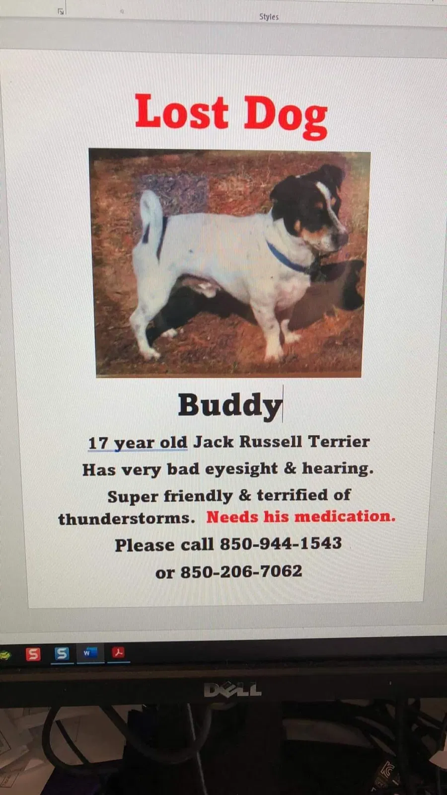 Lost dog in Pensacola, FL, 32526