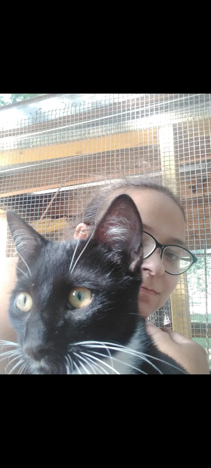 Lost cat in Waco, TX, 76706