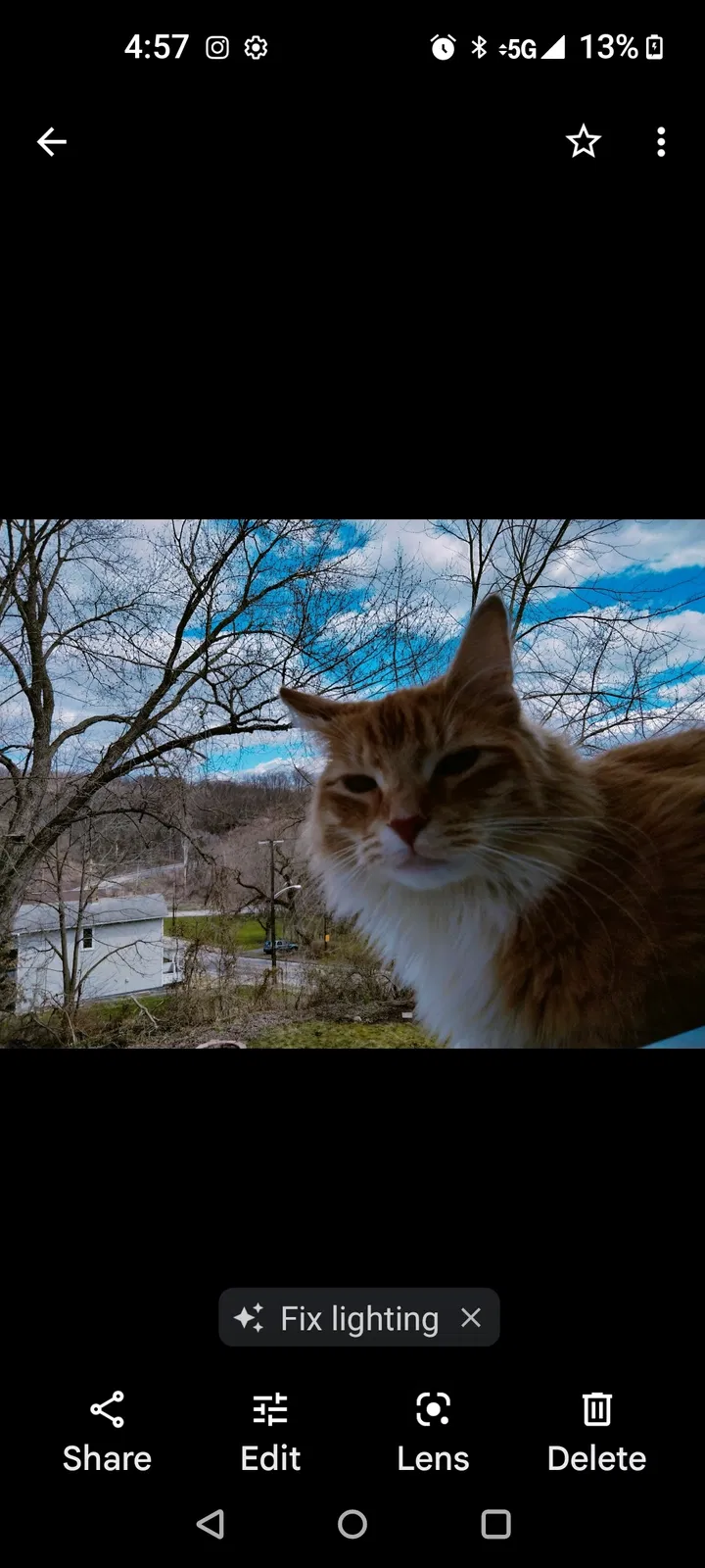 Lost cat in New Brighton, PA, 15066