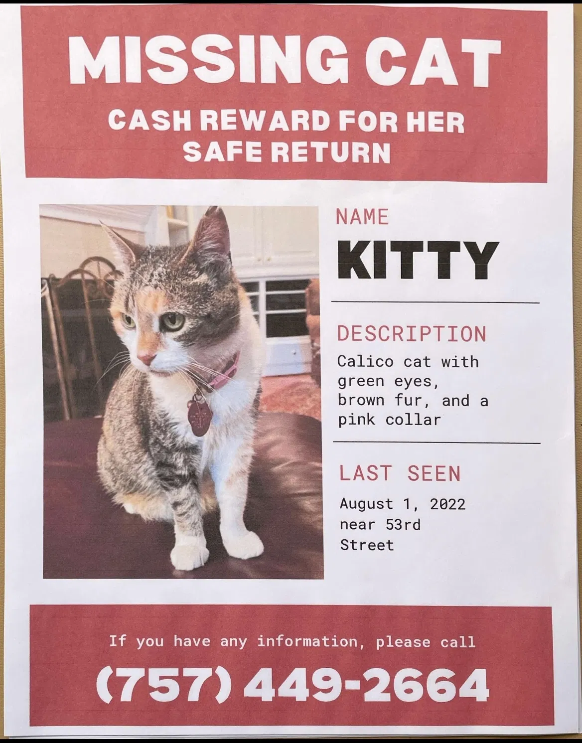 Lost cat in Virginia Beach, VA, 23451