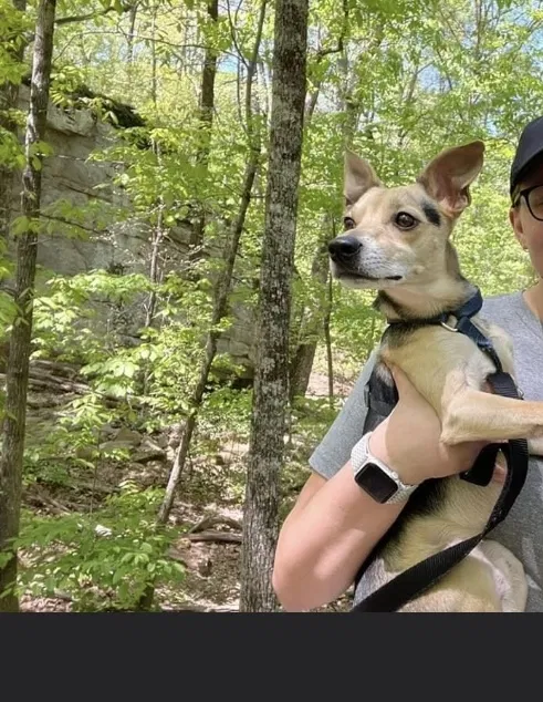 Lost dog in Sylacauga, AL, 35150