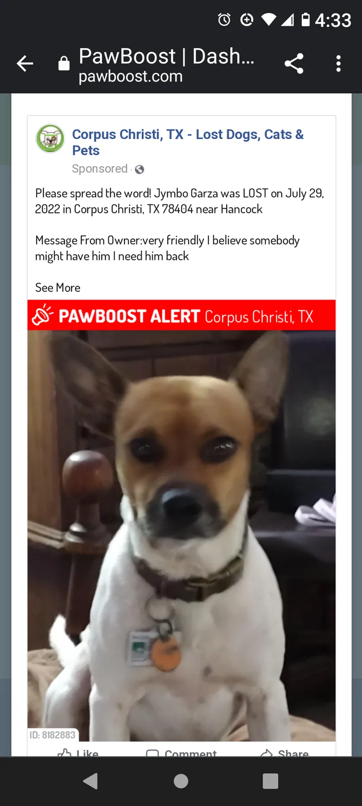 Lost dog in Corpus Christi, TX, 78404