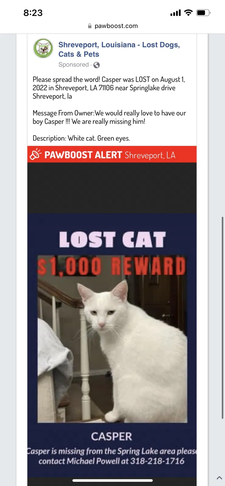 Lost cat in Shreveport, LA, 71106