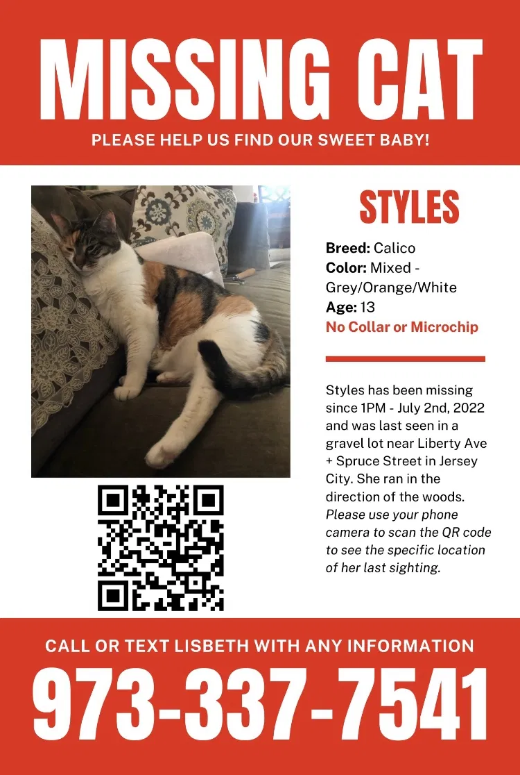 Lost cat in Jersey City, NJ, 7306