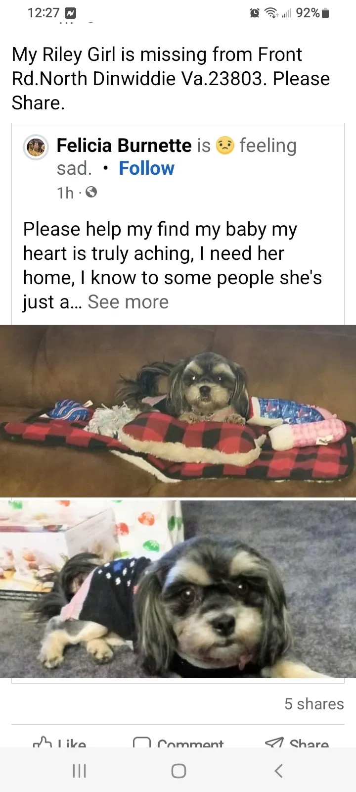 Lost dog in Petersburg, VA, 23803