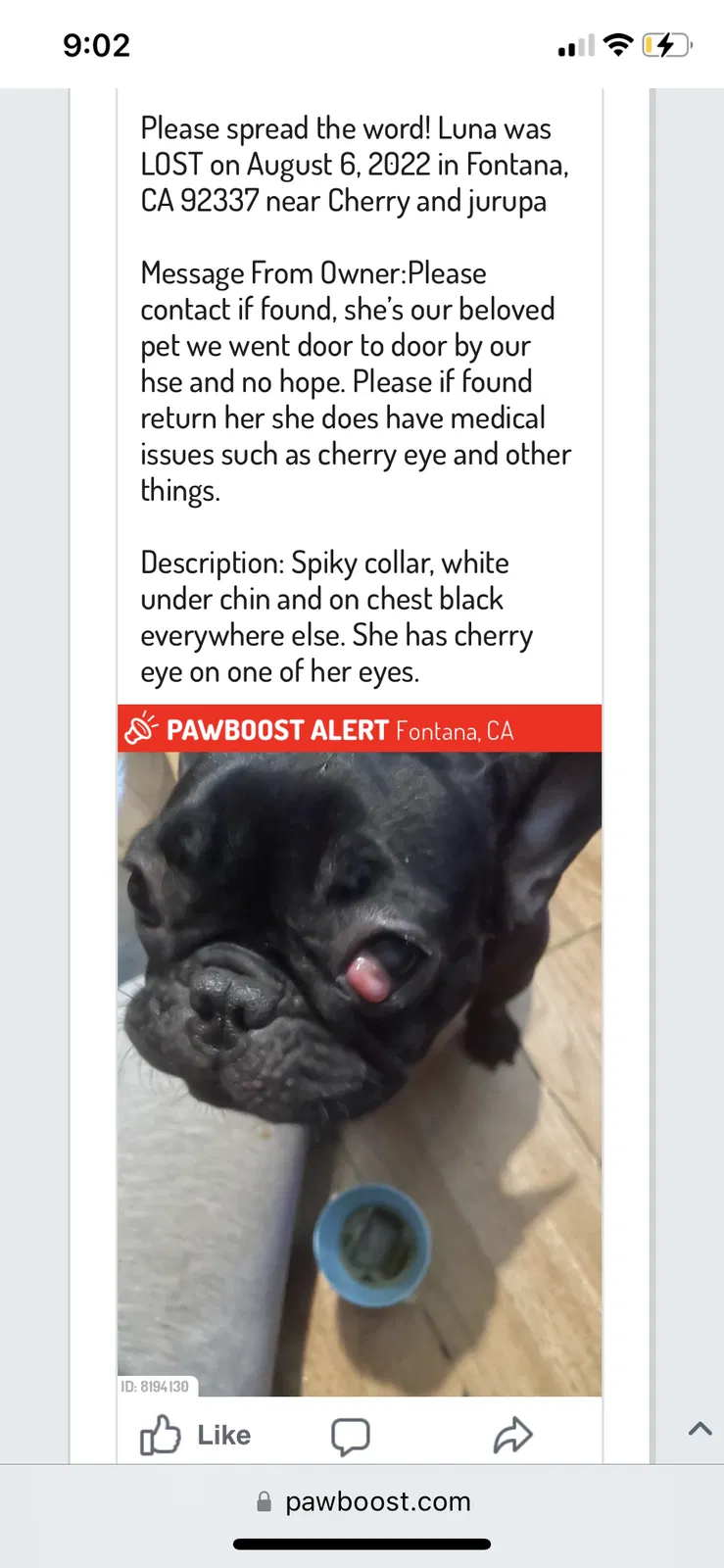 Lost dog in Fontana, CA, 92337
