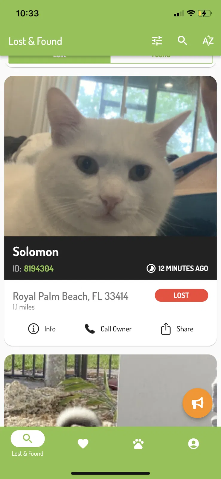Lost cat in Wellington, FL, 33414