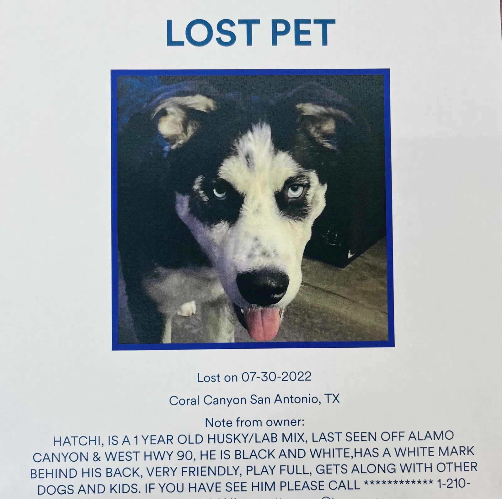 Lost dog in San Antonio, TX, 78252