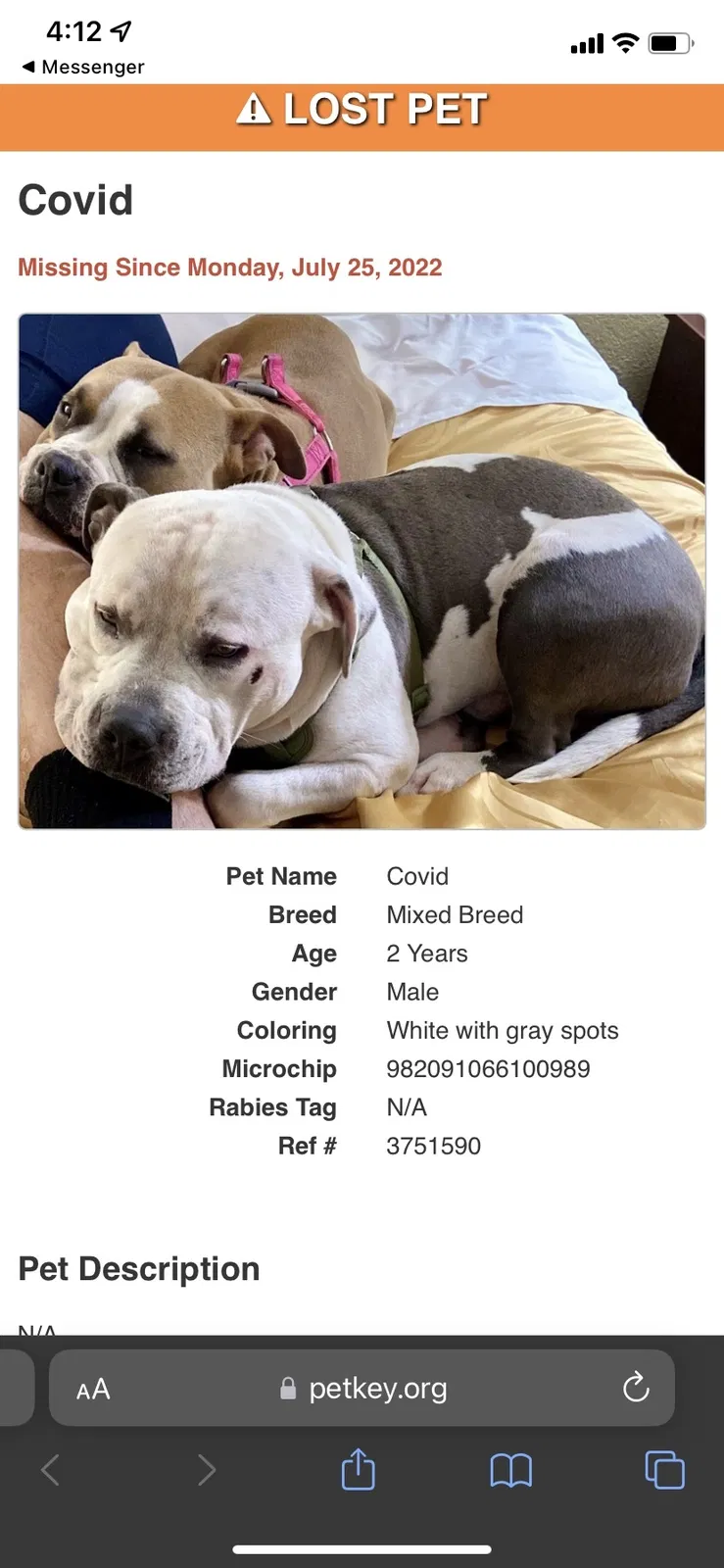 Lost dog in Independence, MO, 64055