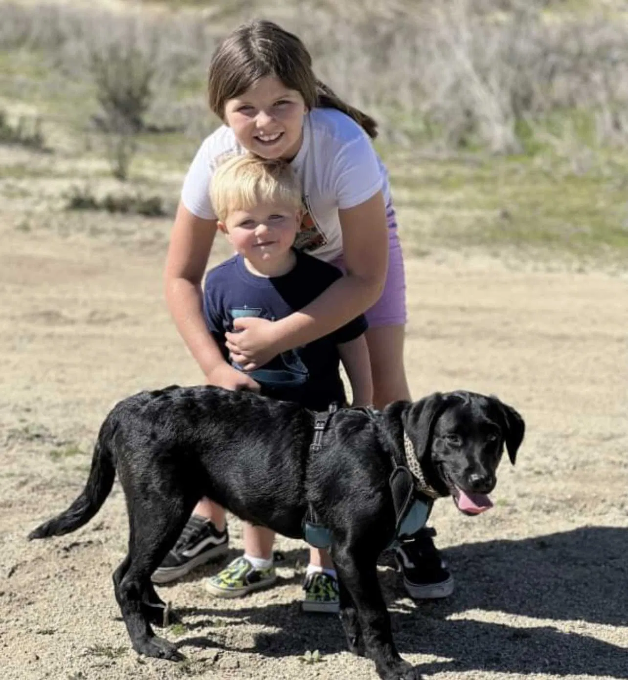 Lost dog in Temecula, CA, 92592
