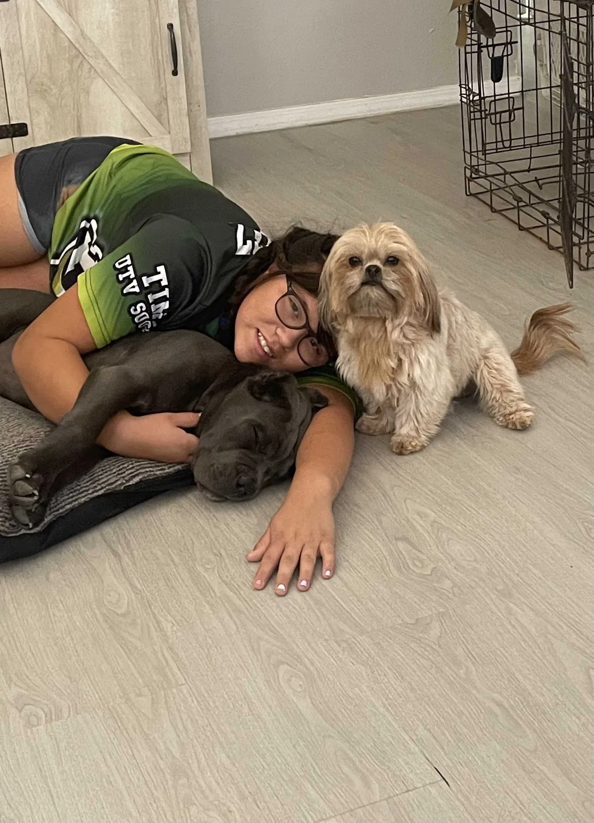 Lost dog in El Paso, TX, 79936