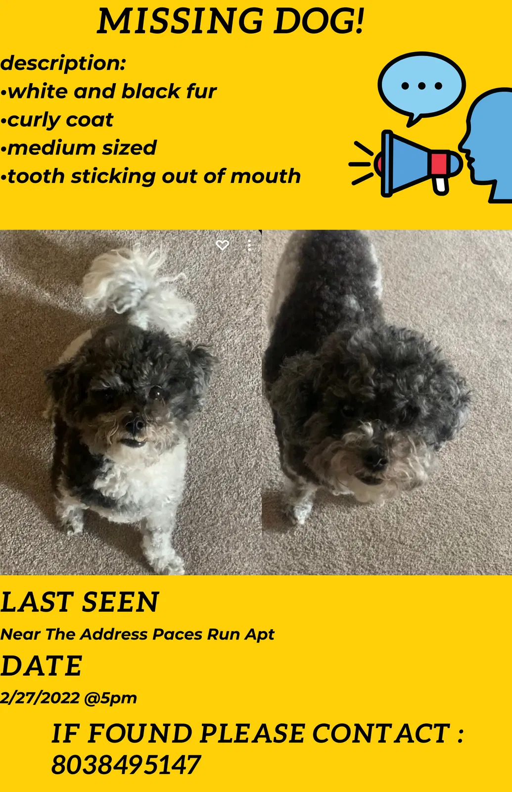 Lost dog in Columbia, SC, 29223