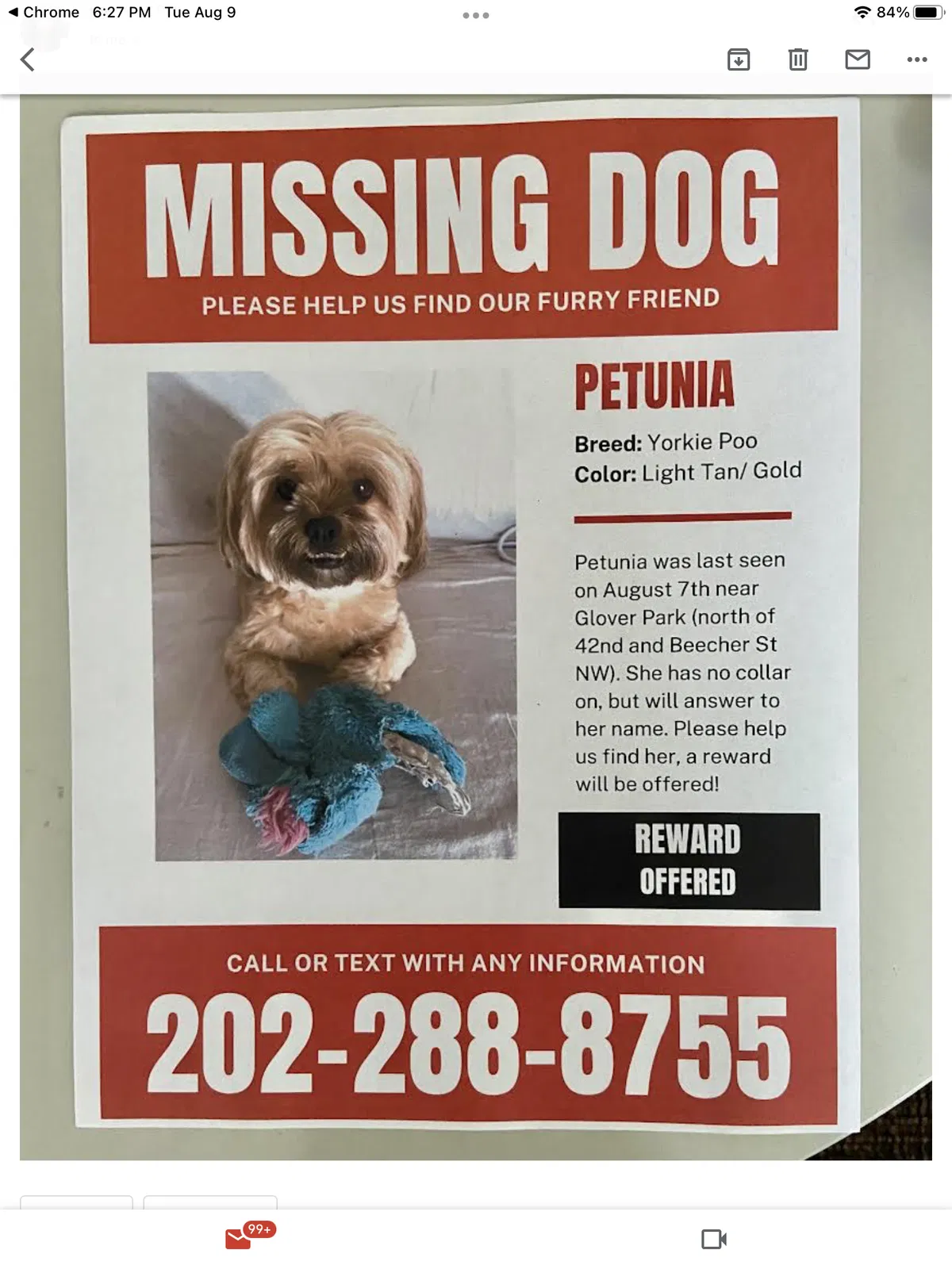 Lost dog in Washington, DC, 20007