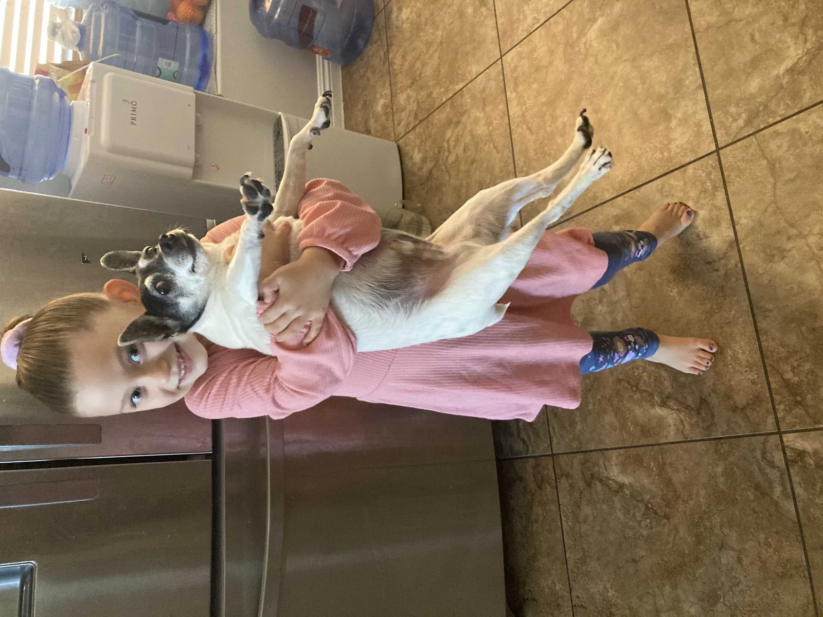 Lost dog in Las Vegas, NV, 89139
