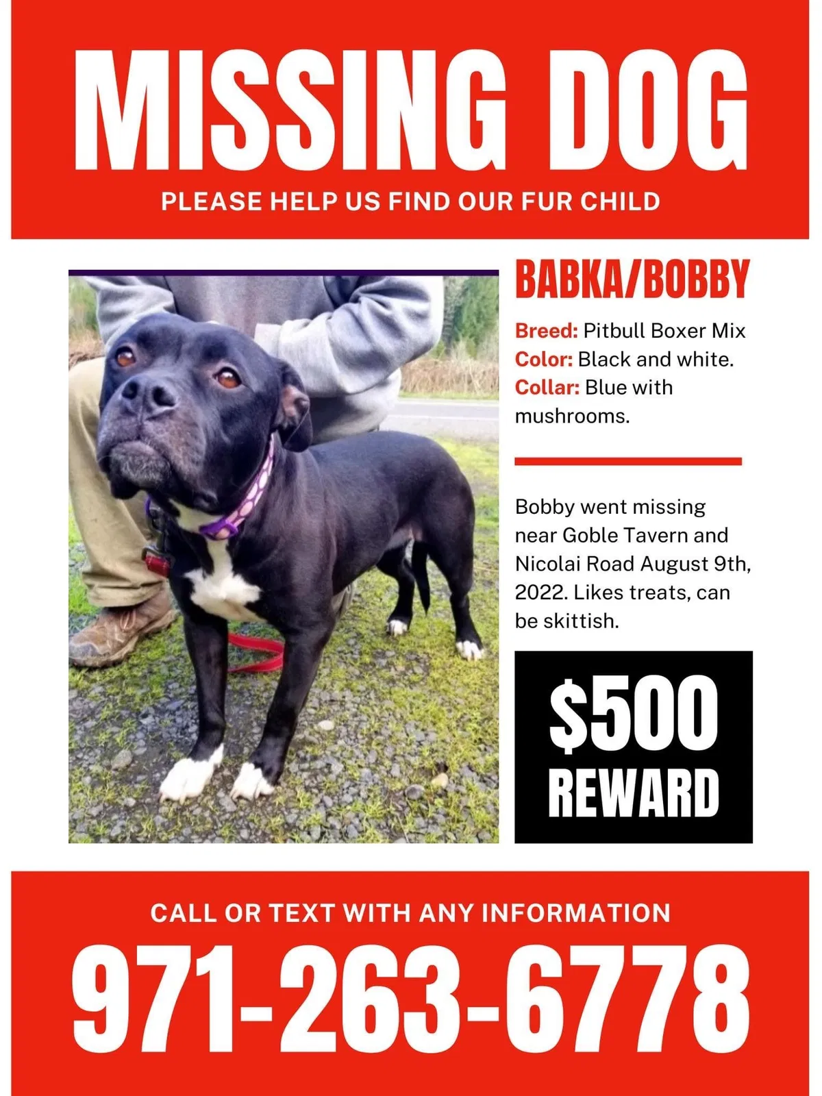Lost dog in Rainier, OR, 97048