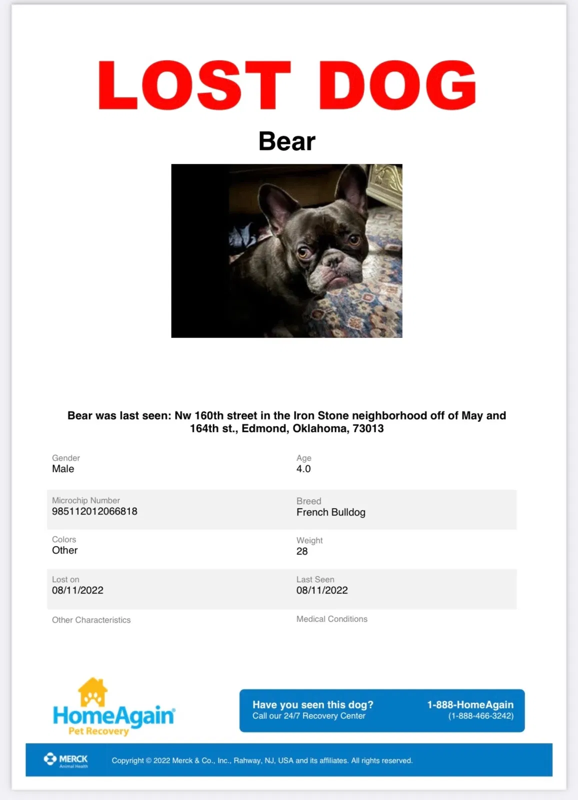 Lost dog in Edmond, OK, 73013