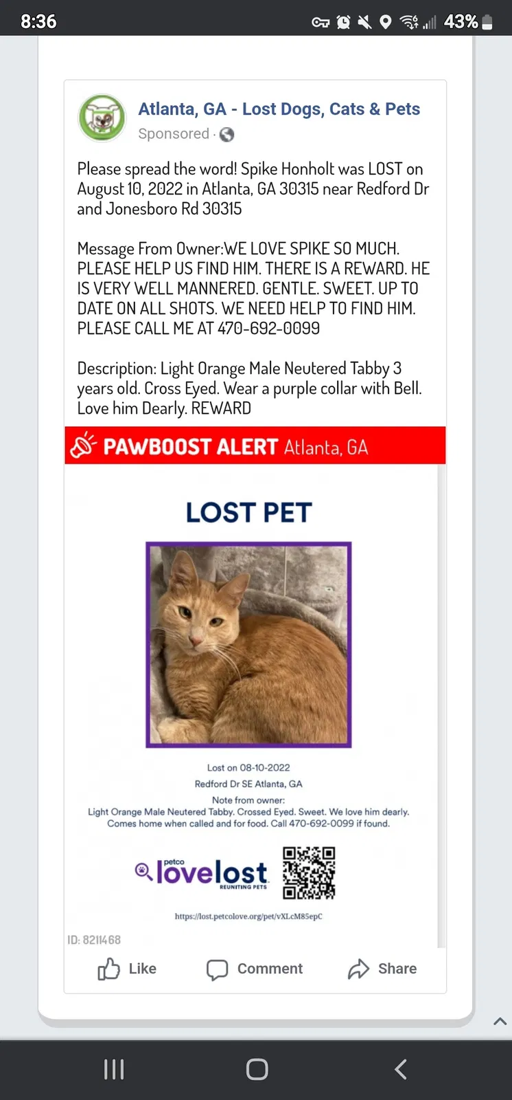 Lost cat in Atlanta, GA, 30315
