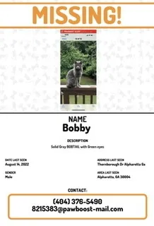 Lost cat in Alpharetta, GA, 30004