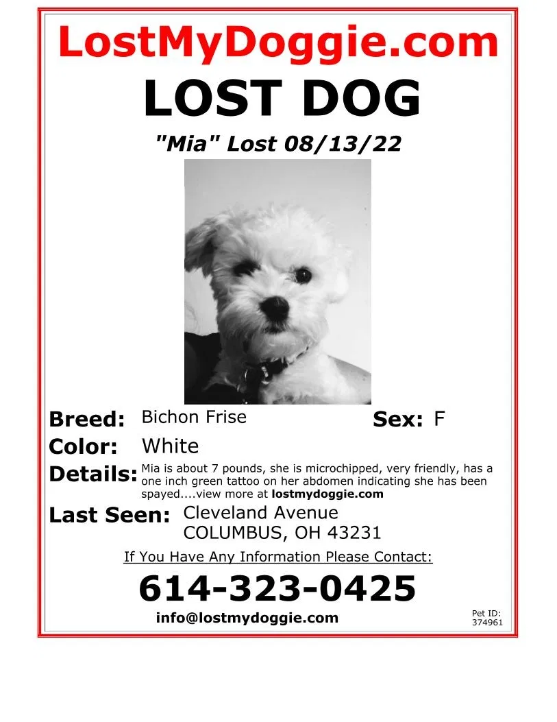 Lost dog in Columbus, OH, 43231