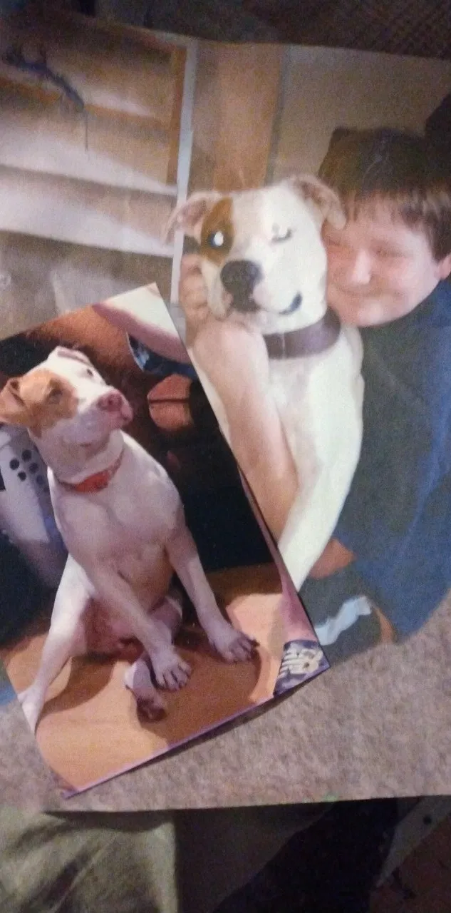 Lost dog in Pearl River, LA, 70452