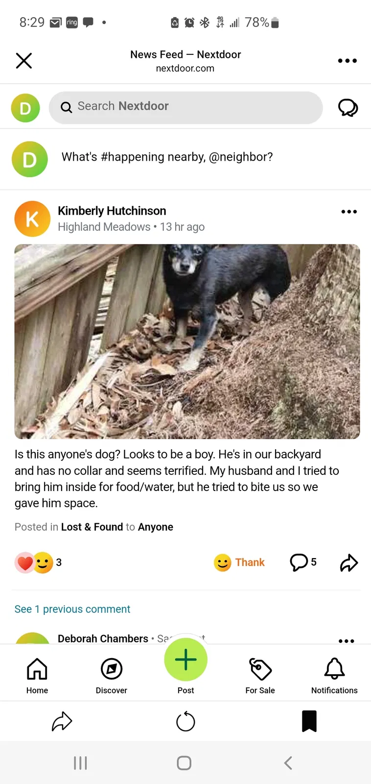 Lost dog in Houston, TX, 77089