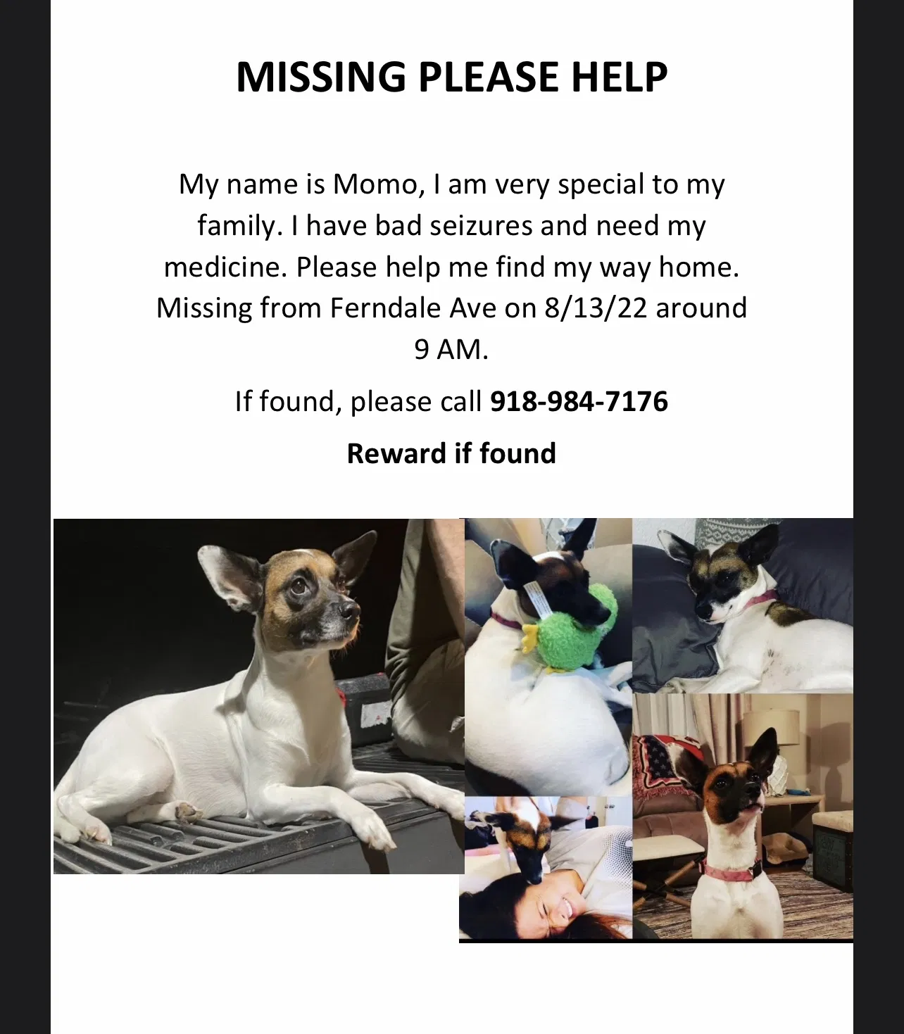 Lost dog in Azle, TX, 76020
