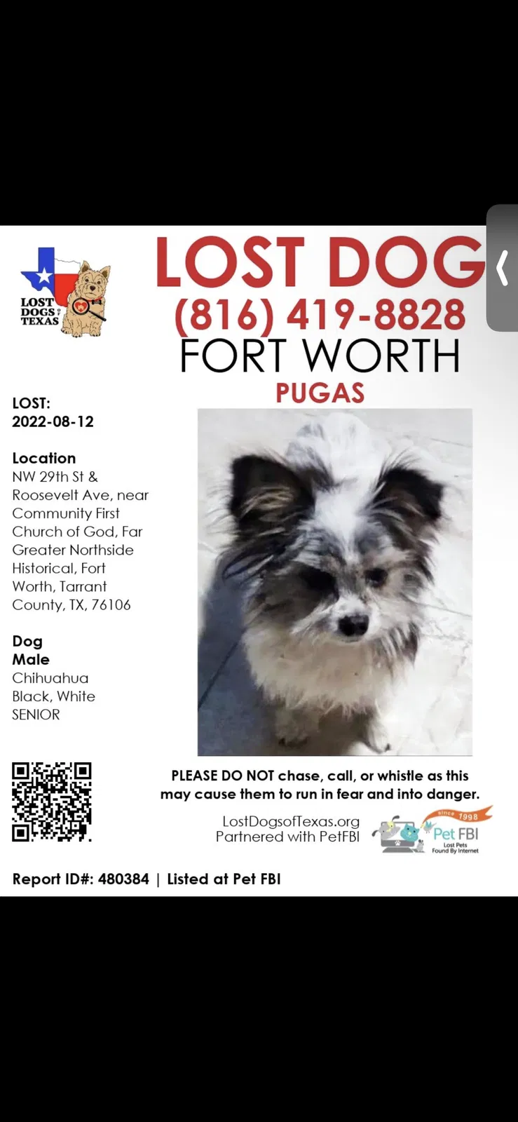 Lost dog in Fort Worth, TX, 76106