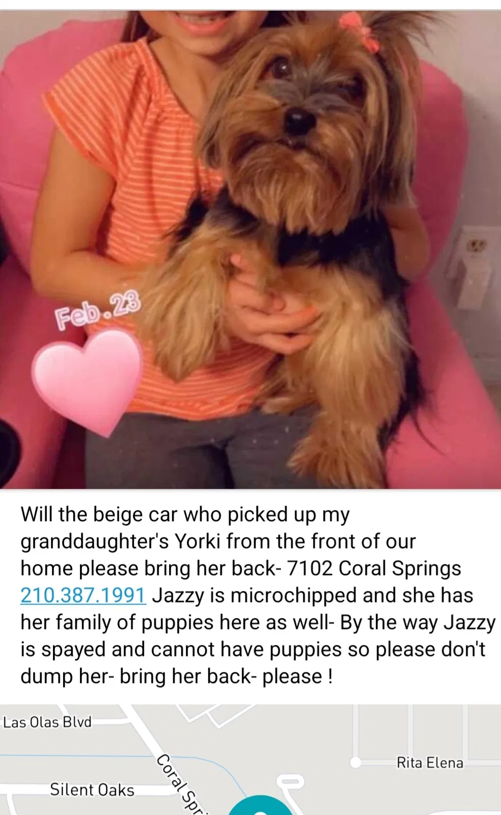 Lost dog in San Antonio, TX, 78250