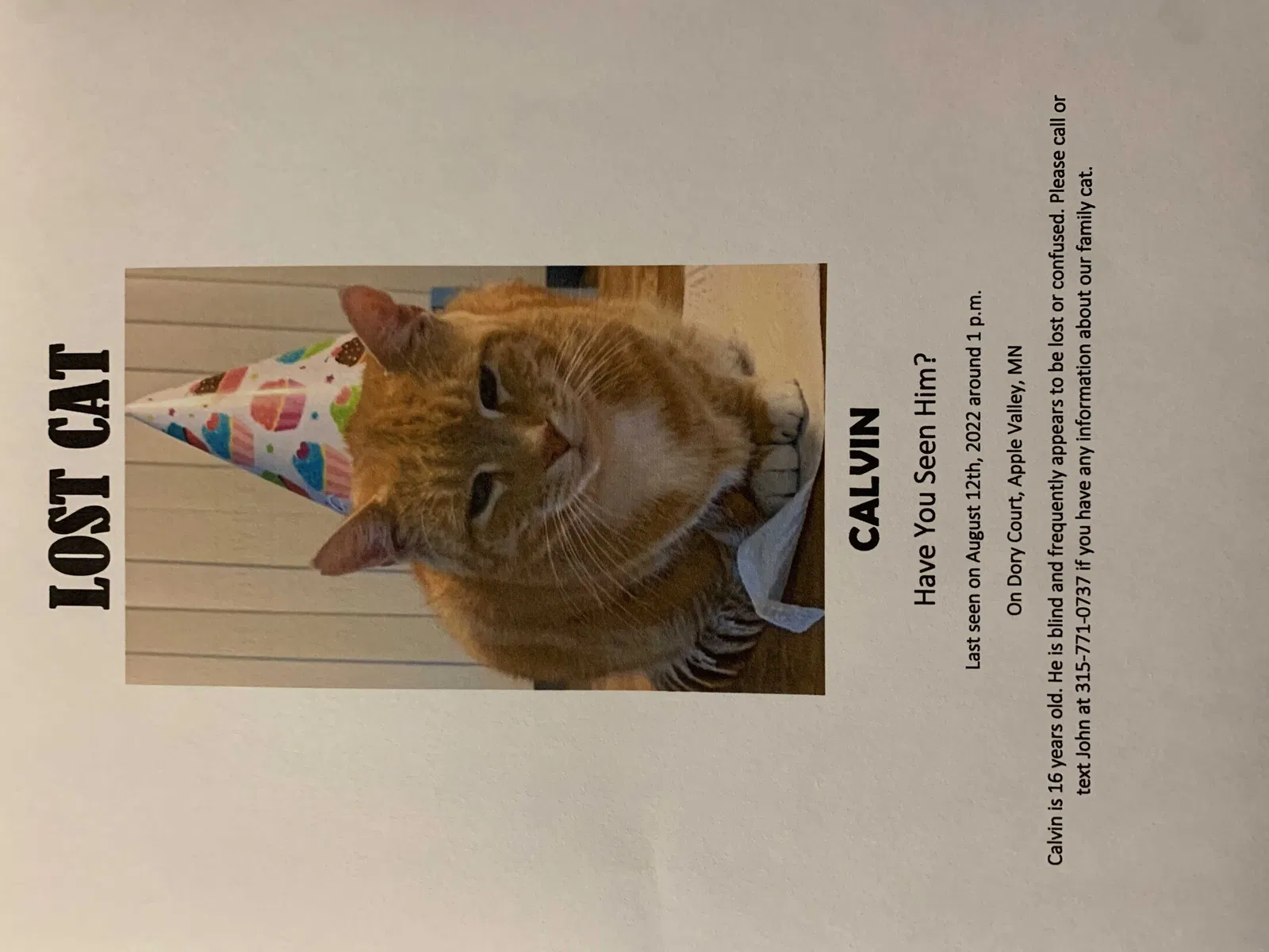 Lost cat in Saint Paul, MN, 55124
