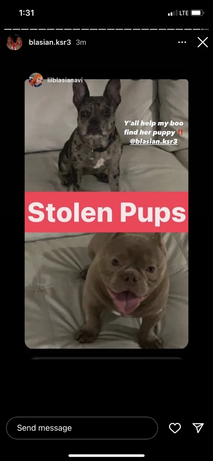 Lost dog in Orlando, FL, 32818