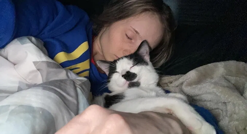 Lost cat in East Brady, PA, 16028