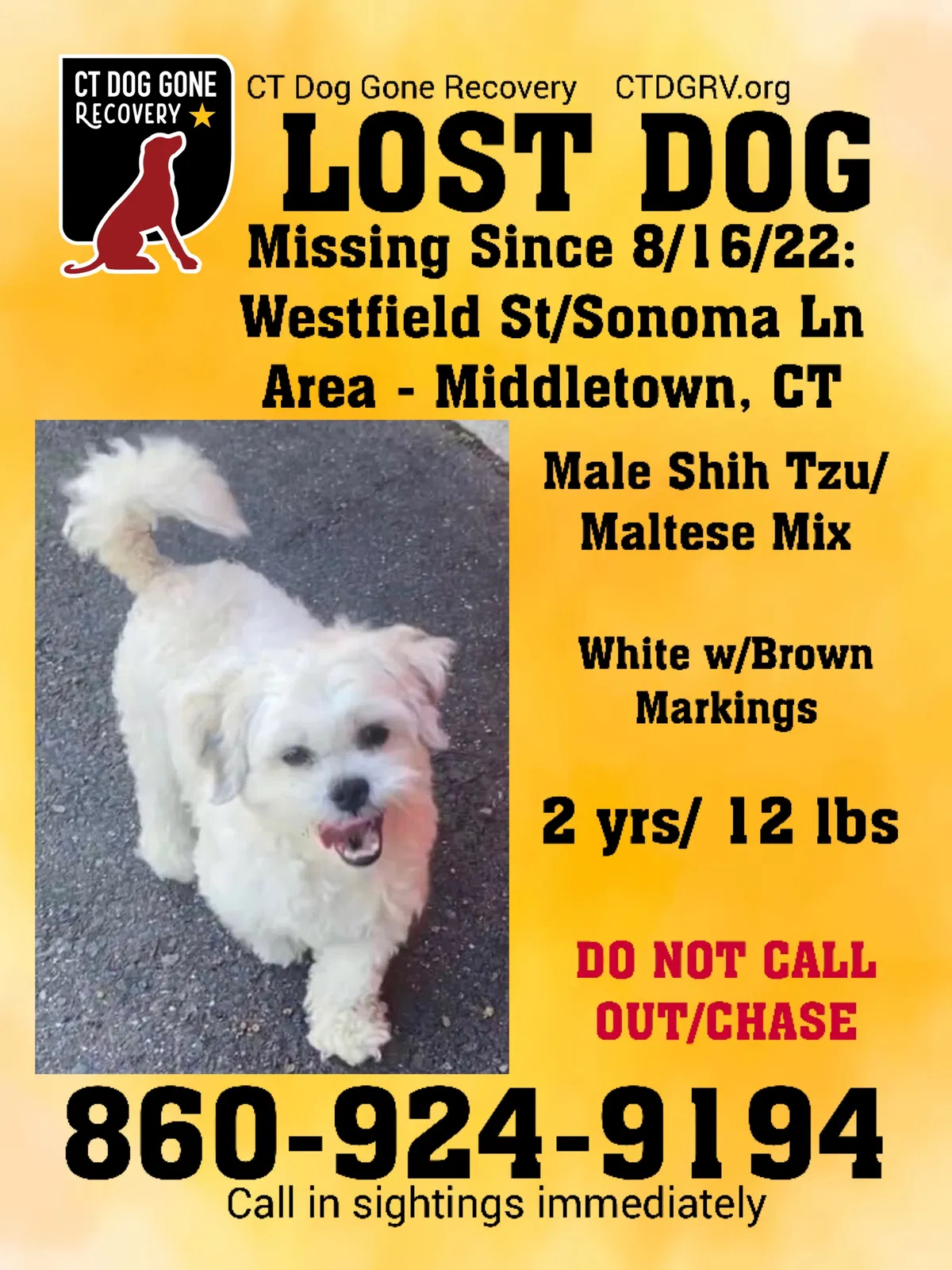 Lost dog in Middletown, CT, 6457