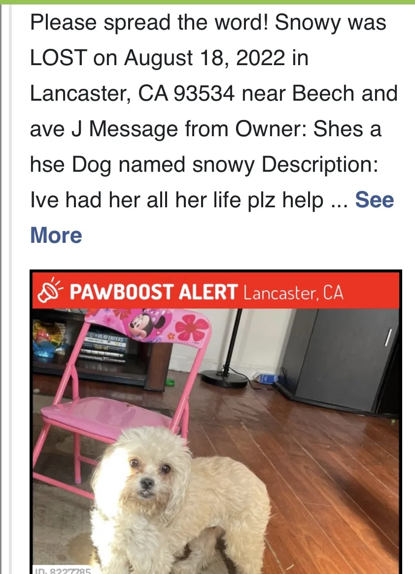 Lost dog in Lancaster, CA, 93534